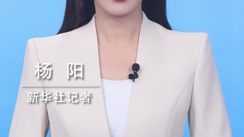 Nginx API網(wǎng)關與Kong：性能與架構的深度解析